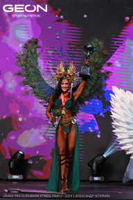 Grand Prix Dudushkin Fitness Family - 2024