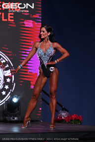 Grand Prix Dudushkin Fitness Family - 2024