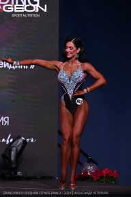 Grand Prix Dudushkin Fitness Family - 2024