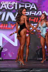 Grand Prix Dudushkin Fitness Family - 2024