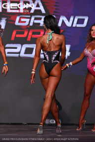 Grand Prix Dudushkin Fitness Family - 2024