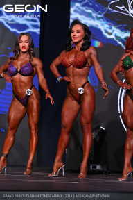 Grand Prix Dudushkin Fitness Family - 2024
