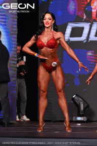 Grand Prix Dudushkin Fitness Family - 2024