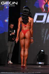Grand Prix Dudushkin Fitness Family - 2024