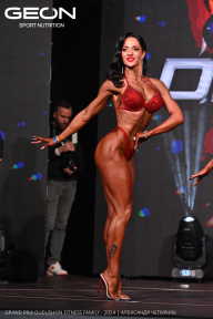 Grand Prix Dudushkin Fitness Family - 2024