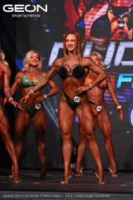 Grand Prix Dudushkin Fitness Family - 2024