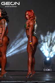 Grand Prix Dudushkin Fitness Family - 2024