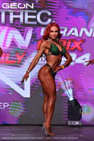 Grand Prix Dudushkin Fitness Family - 2024