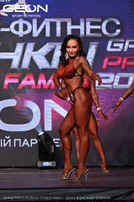 Grand Prix Dudushkin Fitness Family - 2024
