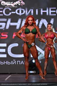 Grand Prix Dudushkin Fitness Family - 2024
