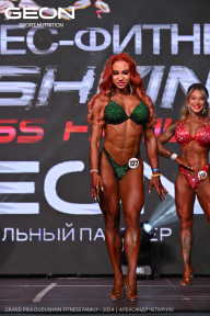 Grand Prix Dudushkin Fitness Family - 2024