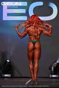 Grand Prix Dudushkin Fitness Family - 2024