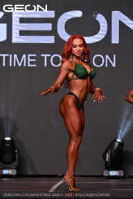 Grand Prix Dudushkin Fitness Family - 2024