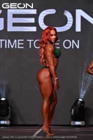 Grand Prix Dudushkin Fitness Family - 2024