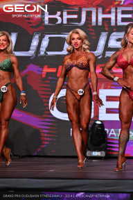 Grand Prix Dudushkin Fitness Family - 2024