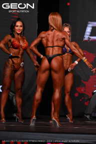 Grand Prix Dudushkin Fitness Family - 2024