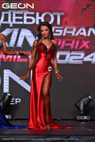 Grand Prix Dudushkin Fitness Family - 2024