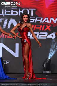 Grand Prix Dudushkin Fitness Family - 2024