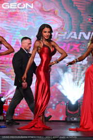 Grand Prix Dudushkin Fitness Family - 2024
