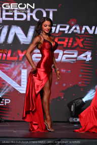 Grand Prix Dudushkin Fitness Family - 2024