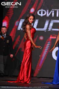 Grand Prix Dudushkin Fitness Family - 2024
