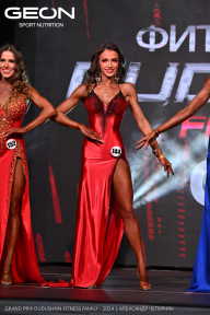 Grand Prix Dudushkin Fitness Family - 2024