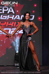 Grand Prix Dudushkin Fitness Family - 2024