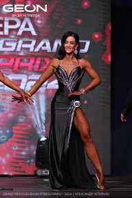 Grand Prix Dudushkin Fitness Family - 2024