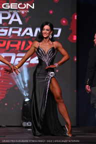 Grand Prix Dudushkin Fitness Family - 2024
