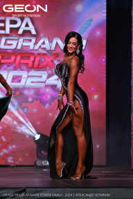 Grand Prix Dudushkin Fitness Family - 2024