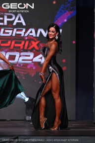 Grand Prix Dudushkin Fitness Family - 2024
