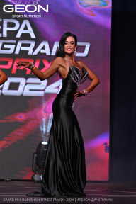 Grand Prix Dudushkin Fitness Family - 2024