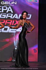 Grand Prix Dudushkin Fitness Family - 2024