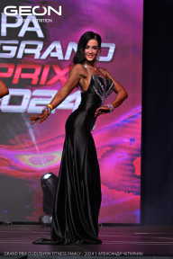 Grand Prix Dudushkin Fitness Family - 2024