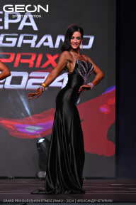 Grand Prix Dudushkin Fitness Family - 2024