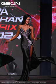 Grand Prix Dudushkin Fitness Family - 2024