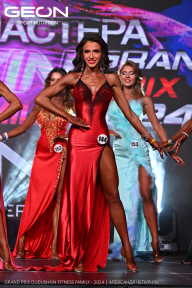 Grand Prix Dudushkin Fitness Family - 2024
