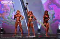 Grand Prix Dudushkin Fitness Family - 2024