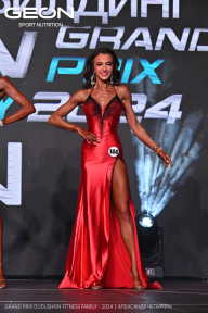 Grand Prix Dudushkin Fitness Family - 2024