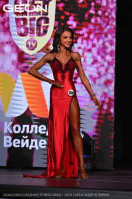 Grand Prix Dudushkin Fitness Family - 2024