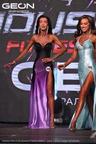 Grand Prix Dudushkin Fitness Family - 2024