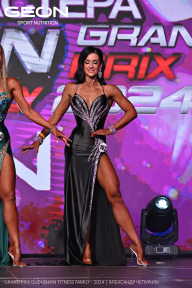 Grand Prix Dudushkin Fitness Family - 2024