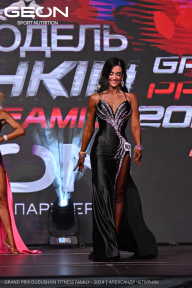 Grand Prix Dudushkin Fitness Family - 2024