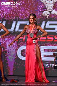Grand Prix Dudushkin Fitness Family - 2024