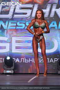 Grand Prix Dudushkin Fitness Family - 2024