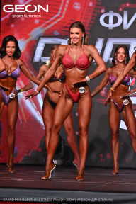 Grand Prix Dudushkin Fitness Family - 2024