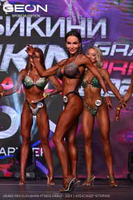 Grand Prix Dudushkin Fitness Family - 2024