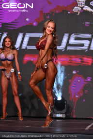 Grand Prix Dudushkin Fitness Family - 2024