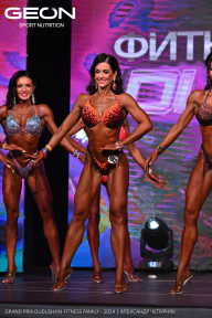 Grand Prix Dudushkin Fitness Family - 2024