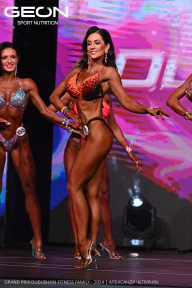 Grand Prix Dudushkin Fitness Family - 2024